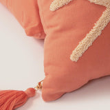 Rose Boreal - Cushion - Third Eye Cushion