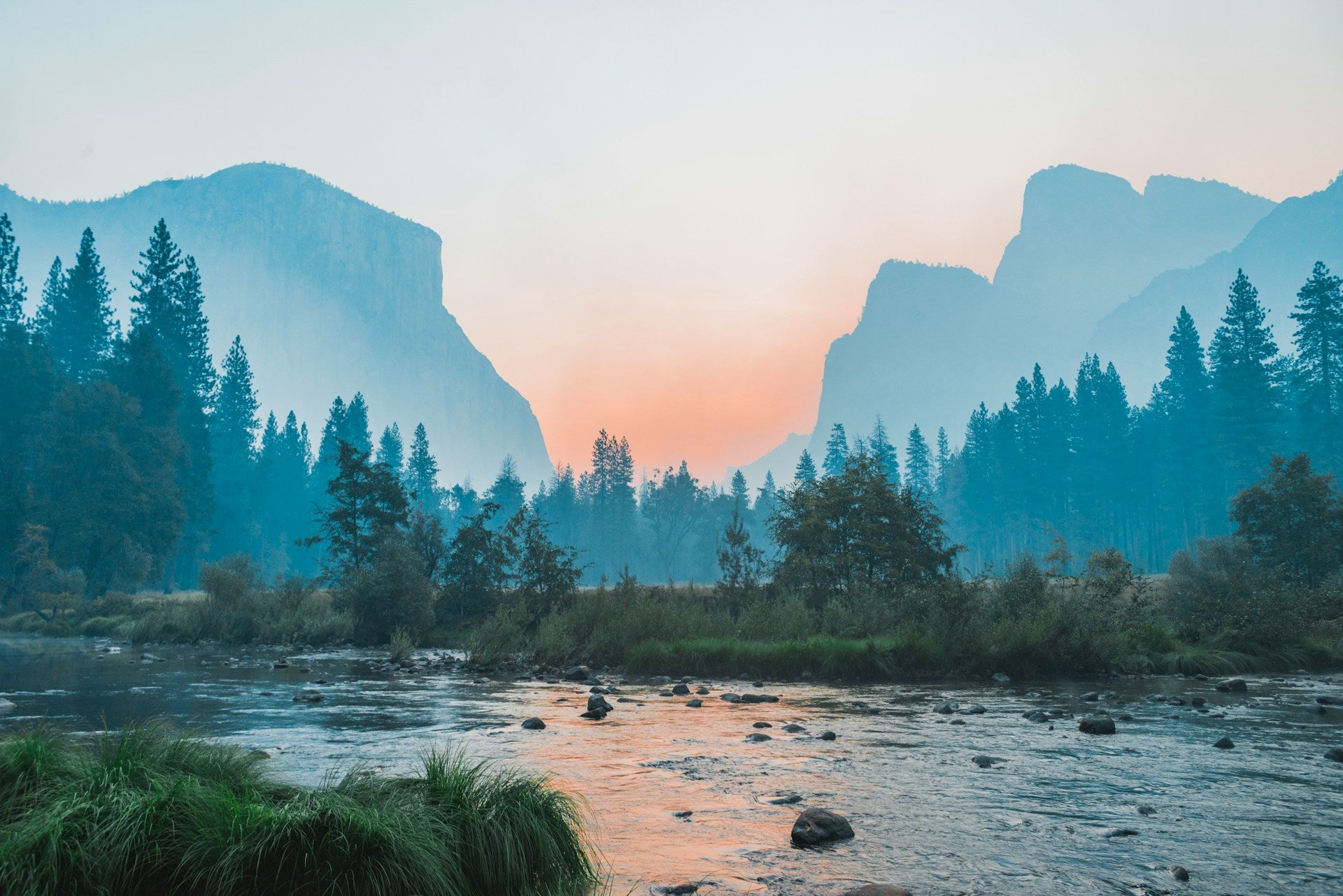 The Basics of Zero Waste - Rose Boreal