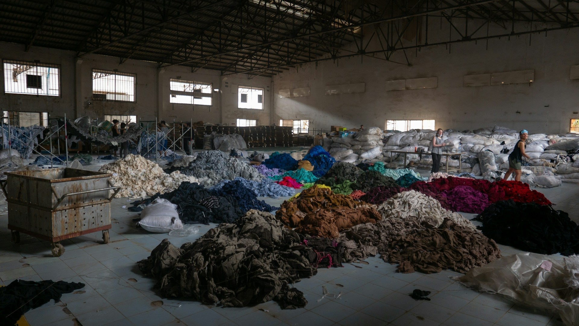 Fast Fashion: State Of Play - Rose Boreal