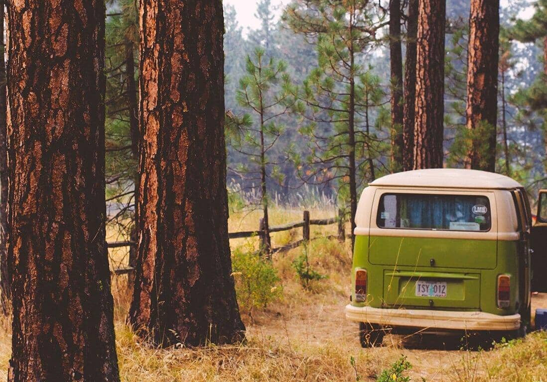 Comment planifier un road trip écologique ?