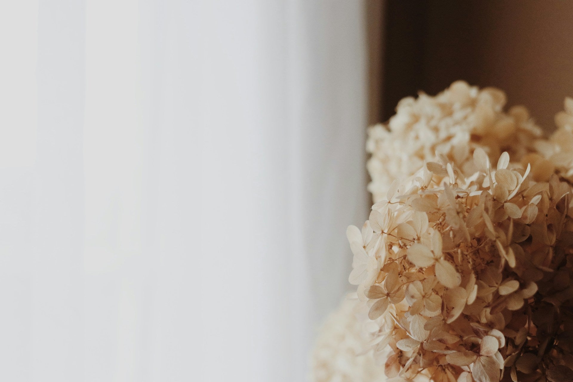 Hygge: the Danish way of living - Rose Boreal