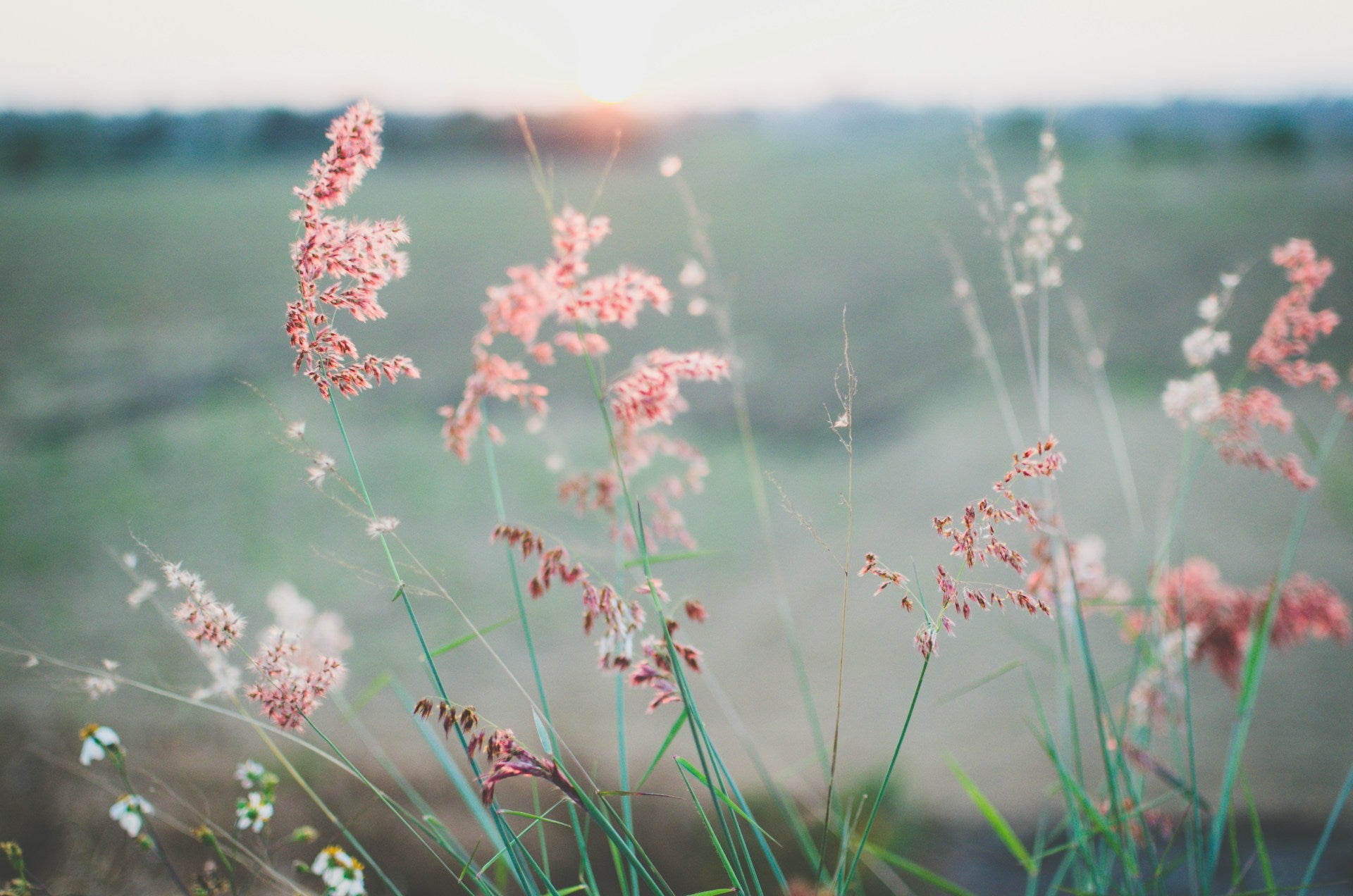The 6 BEST places in Quebec for a wellness, yoga and meditation retreat - Rose Boreal
