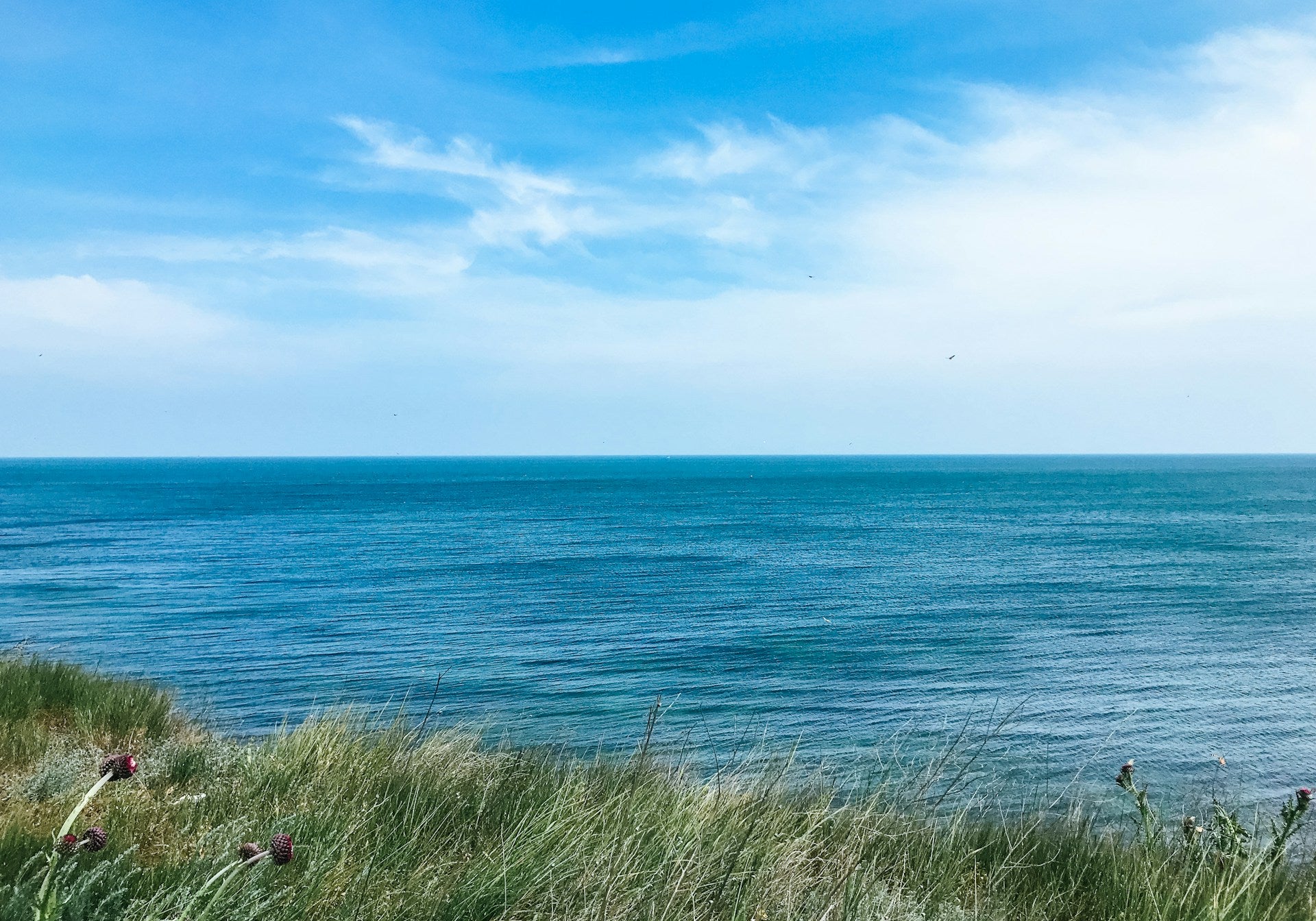5 tips for becoming an eco-traveler (for real!) - Rose Boreal