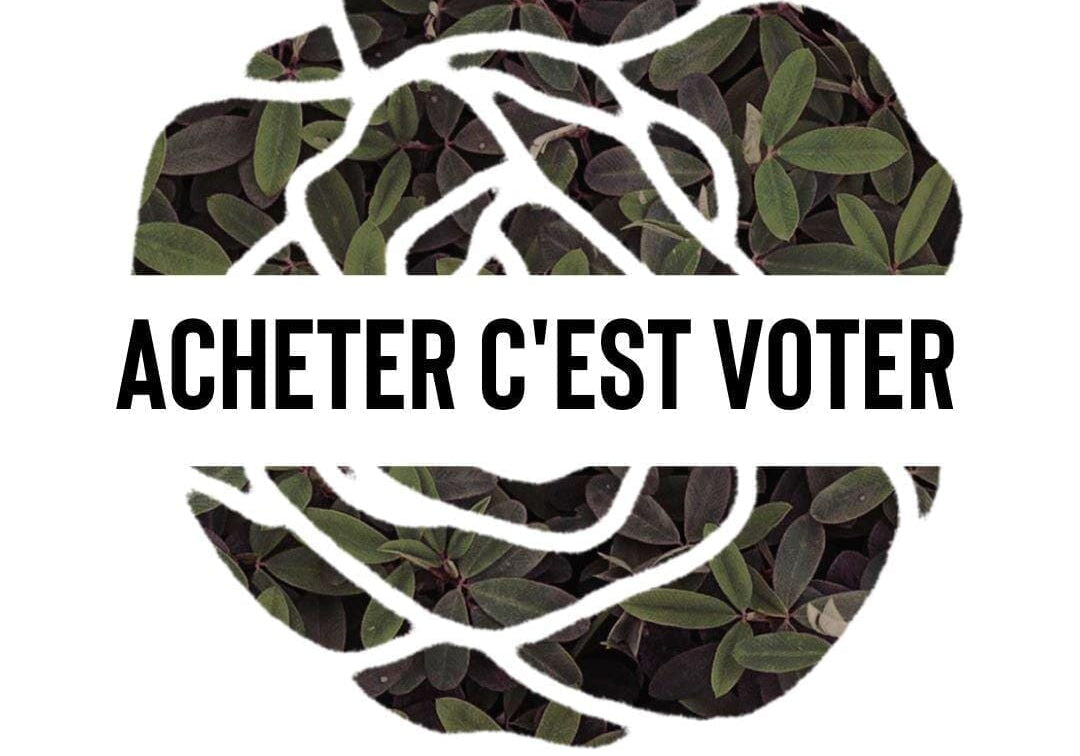 Voting with Your Dollar : Top 5 reasons to choose Rose Buddha